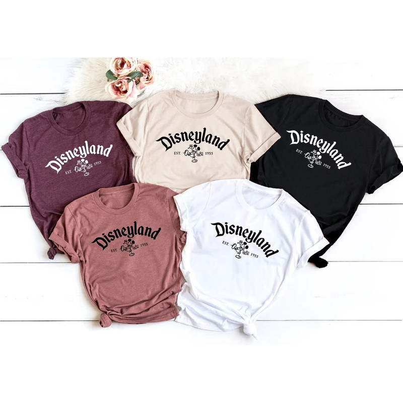 Disneyland Family Shirts, disneyland shirts, Disney family shirt, disney trip shirt, disney family tee, disney shirt, matching disney, - 1.jpg