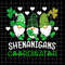 MR-1282023112318-shenanigans-coordinator-gnomes-st-patricks-day-png-gnomes-image-1.jpg