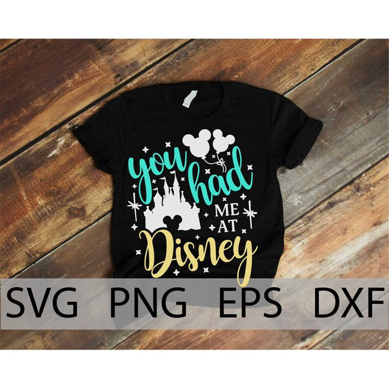 MR-1282023121753-you-had-me-at-disneyland-svg-disneyland-trip-svg-family-image-1.jpg