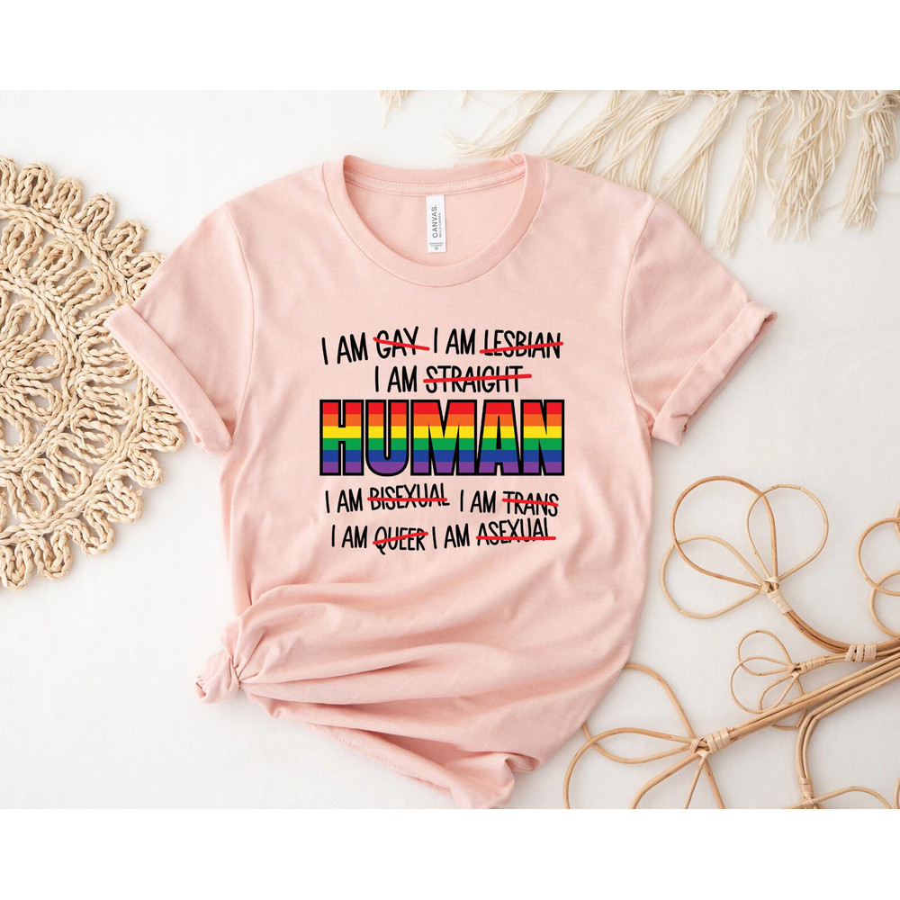 I am Human Shirt, Equality Shirt, Human Rights Shirt, Lgbt Shirt, Be Kind Shirt, Protest Shirt, Gay Pride Shirt, Civil Rights Shirt - 3.jpg