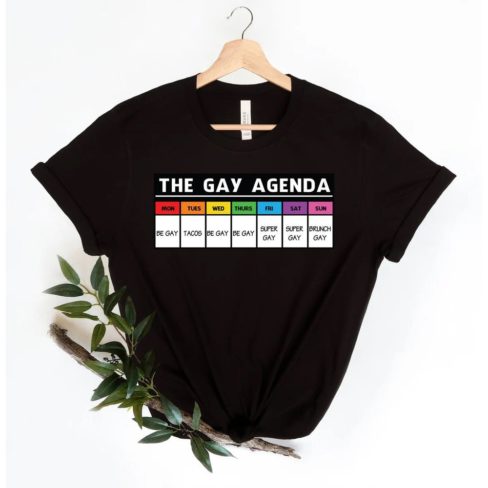 The gay agenda shirt, Gay Shirt, LGBT Shirt, Bisexual Shirt, Lesbian Shirt, vintage shirt, LGBT Gift, Pride Rainbow Shirt, trendy shirt, - 1.jpg