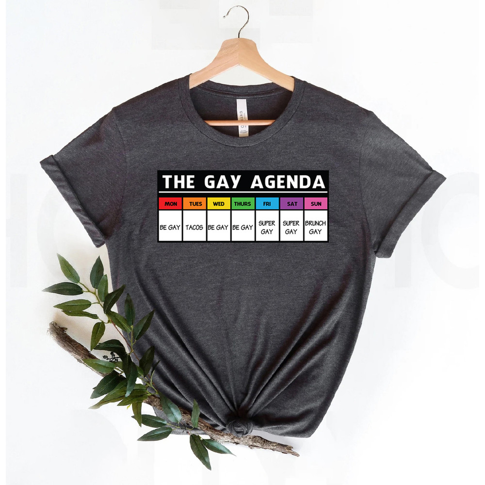 The gay agenda shirt, Gay Shirt, LGBT Shirt, Bisexual Shirt, Lesbian Shirt, vintage shirt, LGBT Gift, Pride Rainbow Shirt, trendy shirt, - 2.jpg