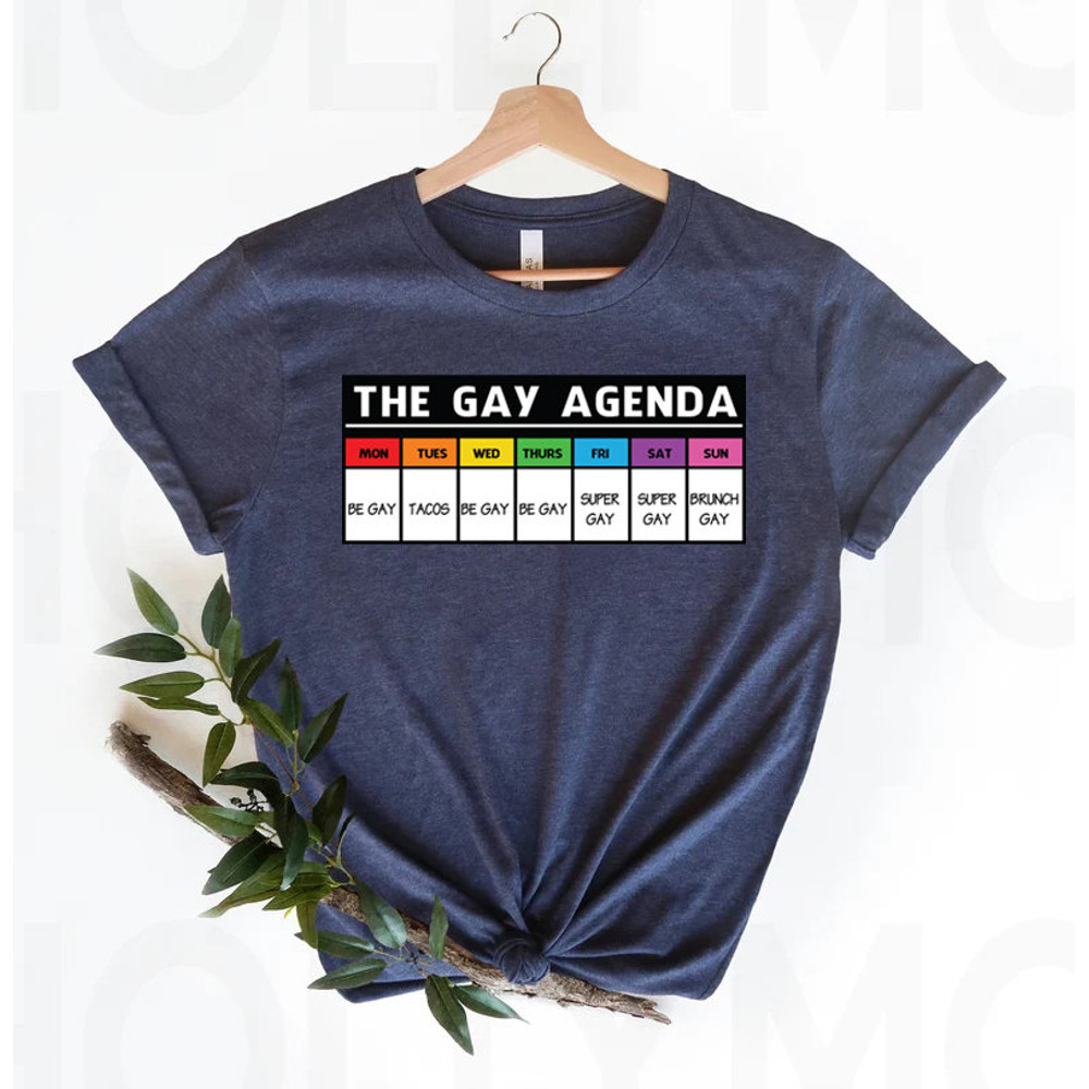 The gay agenda shirt, Gay Shirt, LGBT Shirt, Bisexual Shirt, Lesbian Shirt, vintage shirt, LGBT Gift, Pride Rainbow Shirt, trendy shirt, - 4.jpg
