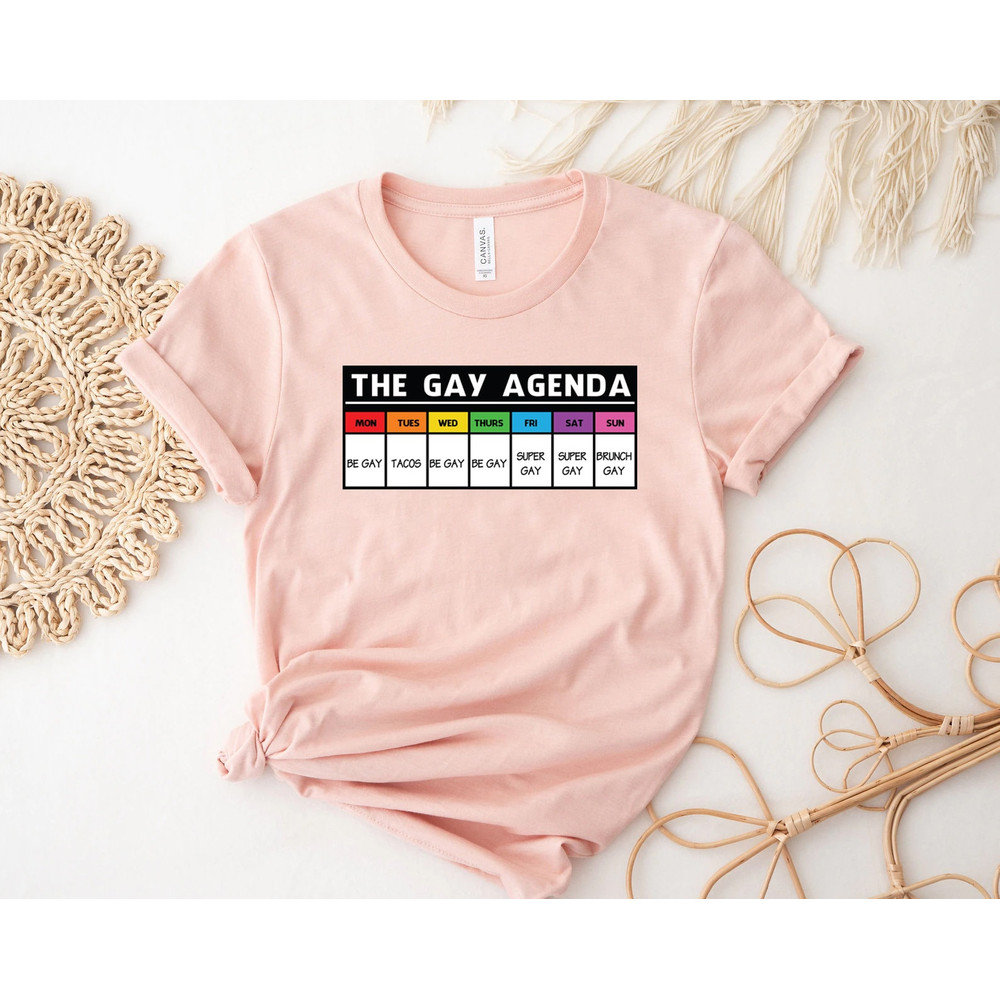 The gay agenda shirt, Gay Shirt, LGBT Shirt, Bisexual Shirt, Lesbian Shirt, vintage shirt, LGBT Gift, Pride Rainbow Shirt, trendy shirt, - 5.jpg