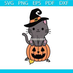 black cat pumpkin svg halloween cat witch svg cricut file
