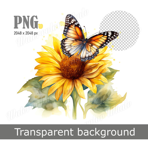 sunflower-clipart-monarch-butterfly-transparent-background-png.jpg