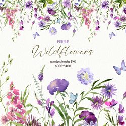 watercolor purple wildflowers seamless border, botanical  floral clipart digital download png