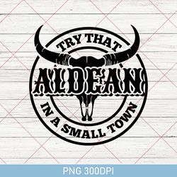 Try That In A Small Town Png, Jason Aldean Png, Country Song Lyric, American Flag Quote, Country Music Shirt, Try That