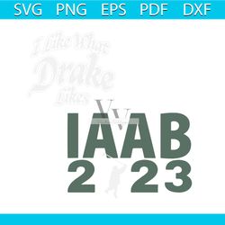 i like what drake likes svg its all a blur tour svg graphic file