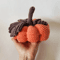 medium side pumpkin