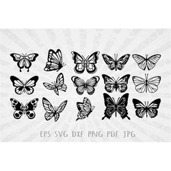 Butterfly Insect Nature Wings Colorful Flutter Beauty Garden Pollinator Flutterby Art Design Logo Svg Png Vector Clipart