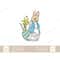 MR-1482023163558-peter-rabbit-svg-png-cricut-cut-file-image-1.jpg