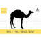MR-1482023194630-camel-svg-animal-svg-svg-png-dxf-jpeg-digital-download-image-1.jpg