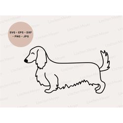long haired dachshund, long hair dachshund svg, mini dachshund svg, cute dachshund svg, wiener svg, dachshund gift, dach