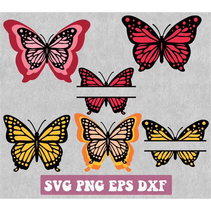 MR-1482023231721-butterfly-svg-layered-butterfly-svg-butterflies-bundle-image-1.jpg