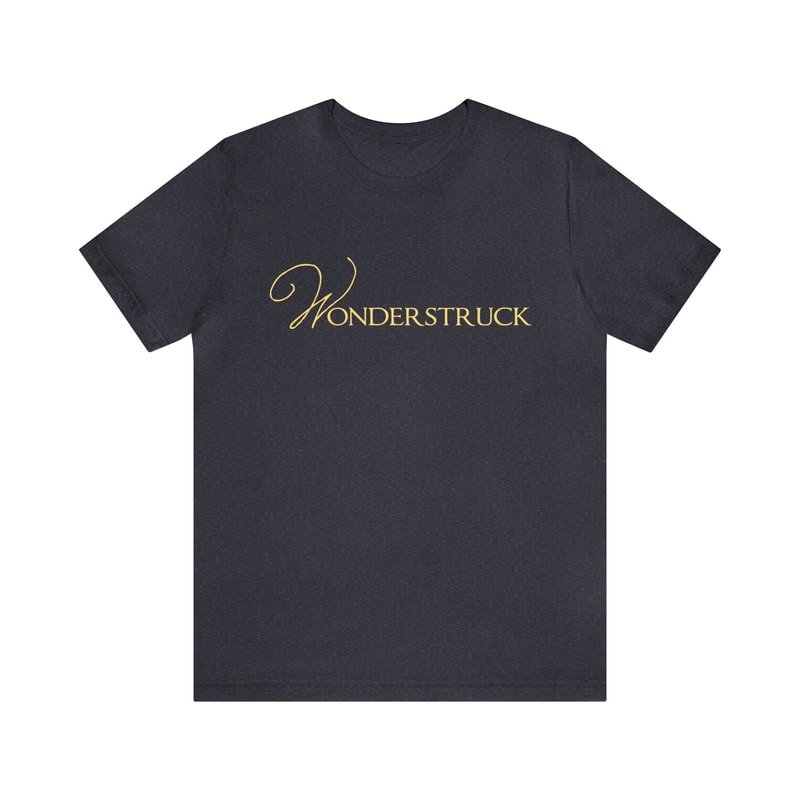Wonderstruck Lyric Taylor Swift Tshirt The Eras Tour Merch Speak Now Shirt Enchanted Taylor Swiftees Bella and Canvas 3001 Swiftie Outfit - 6.jpg