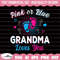MR-158202313222-pink-or-blue-grandma-loves-you-svg-gender-reveal-svg-image-1.jpg