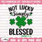 MR-1582023133852-not-lucky-simply-blessed-svg-st-patricks-day-svg-image-1.jpg
