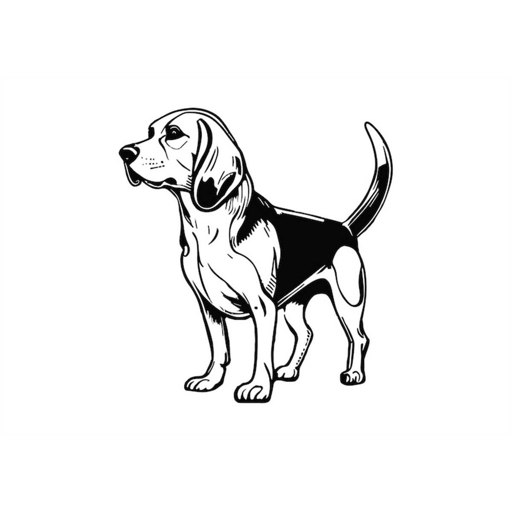 MR-1582023185634-beagle-svg-beagle-clipart-beagle-svg-files-for-cricut-image-1.jpg