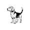 MR-1582023185634-beagle-svg-beagle-clipart-beagle-svg-files-for-cricut-image-1.jpg