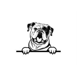 peeking english bulldog svg, peeking english bulldog clipart, peeking english bulldog svg files for cricut