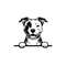 MR-1582023194822-peeking-pitbull-svg-peeking-pitbull-clipart-peeking-pitbull-image-1.jpg