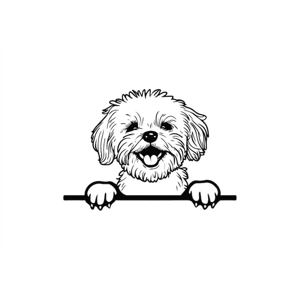 MR-1582023201335-peeking-maltese-svg-peeking-maltese-clipart-peeking-maltese-image-1.jpg