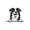MR-1582023202522-peeking-australian-shepherd-svg-peeking-australian-shepherd-image-1.jpg