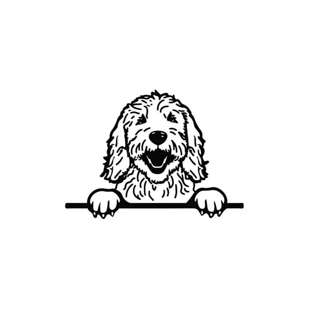 MR-158202320388-peeking-goldendoodle-svg-peeking-goldendoodle-clipart-image-1.jpg