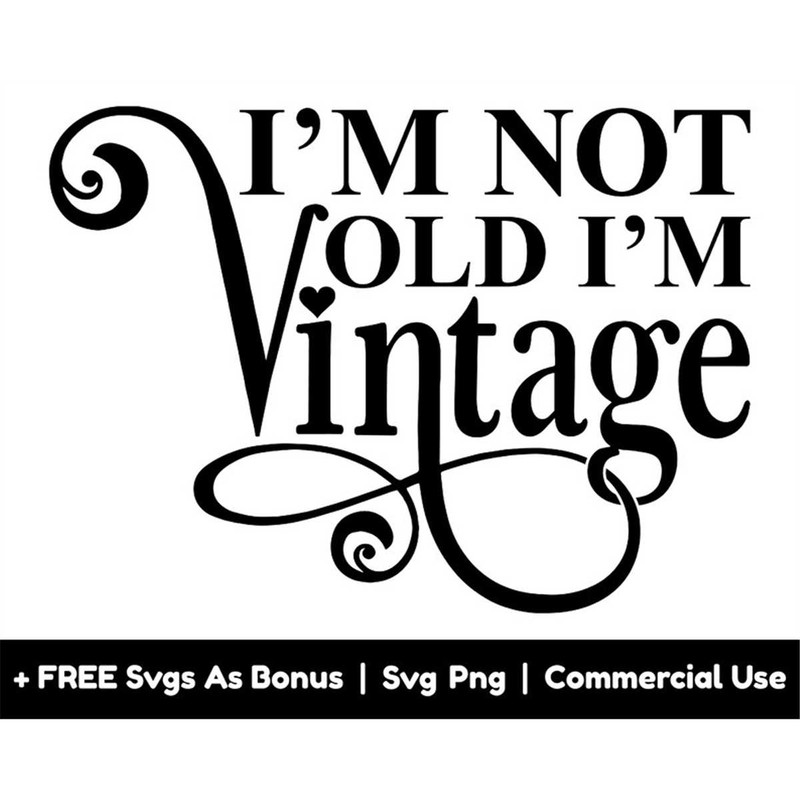 MR-1582023203827-i-am-not-old-i-am-vintage-svg-png-files-funny-birthday-gift-image-1.jpg