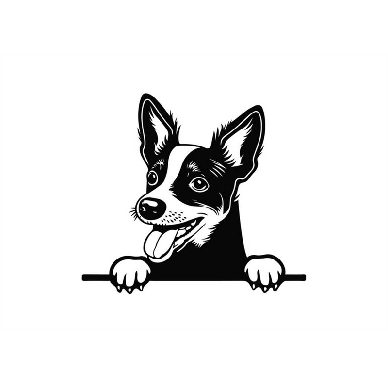 MR-1582023204052-peeking-rat-terrier-svg-peeking-rat-terrier-clipart-peeking-image-1.jpg