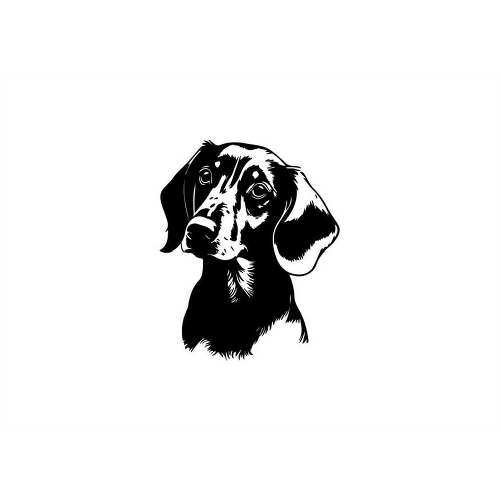 MR-1582023204743-dachshund-dog-svg-dachshund-clipart-dachshund-svg-files-for-image-1.jpg