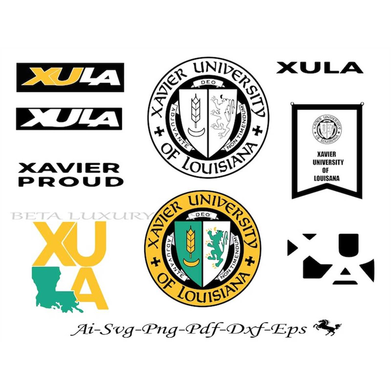 MR-158202321944-xavier-university-of-louisiana-svghbcu-svguniversity-image-1.jpg