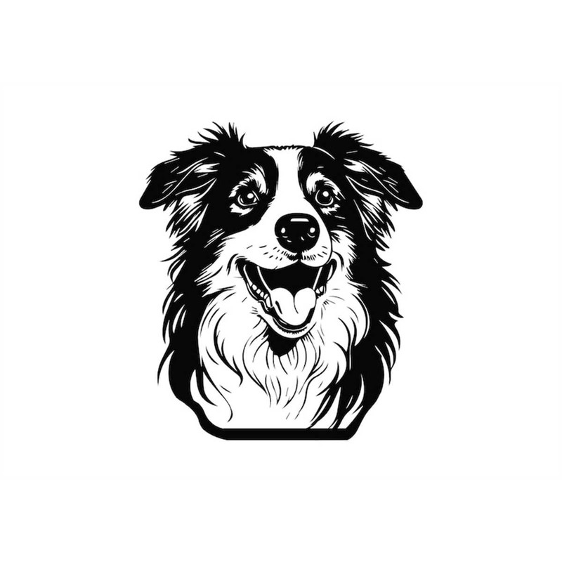 MR-1582023211330-australian-shepherd-head-svg-australian-shepherd-head-image-1.jpg