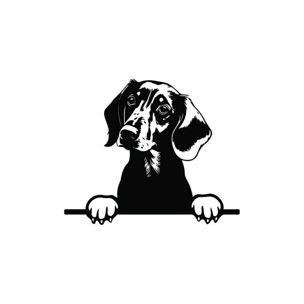 MR-1582023214123-peeking-dachshund-svg-peeking-dachshund-clipart-peeking-image-1.jpg