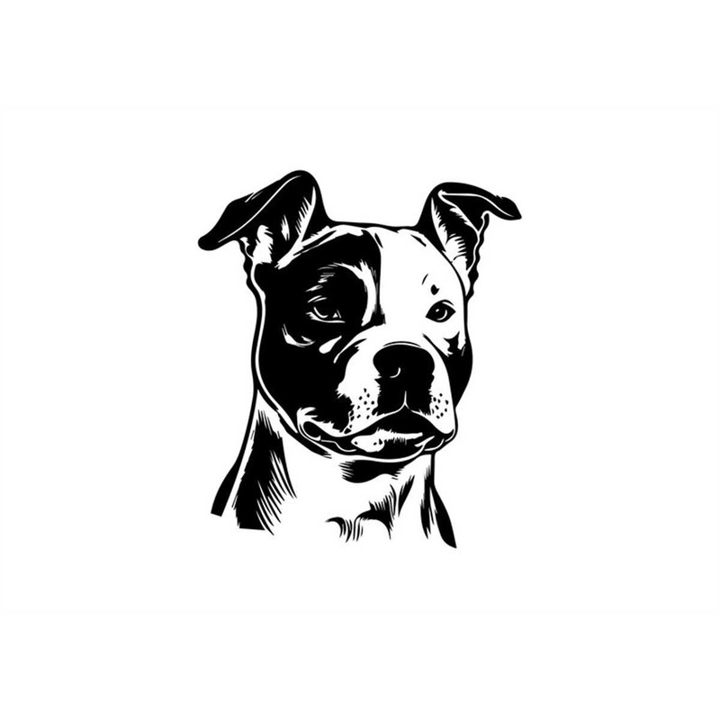 MR-158202321463-amstaff-svg-amstaff-clipart-amstaff-svg-files-for-cricut-image-1.jpg