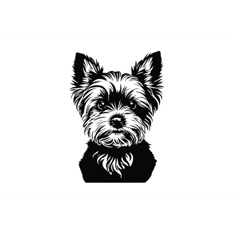 MR-1582023221551-yorkshire-terrier-svg-yorkshire-terrier-clipart-yorkshire-image-1.jpg