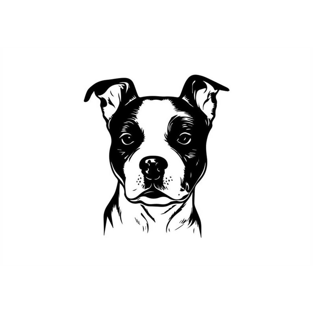 MR-1582023233431-amstaff-svg-amstaff-clipart-amstaff-svg-files-for-cricut-image-1.jpg
