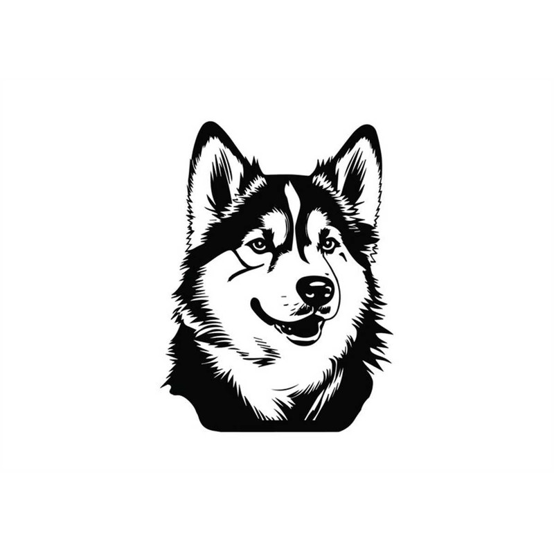 MR-1582023234716-alaskan-malamute-head-svg-alaskan-malamute-head-clipart-image-1.jpg