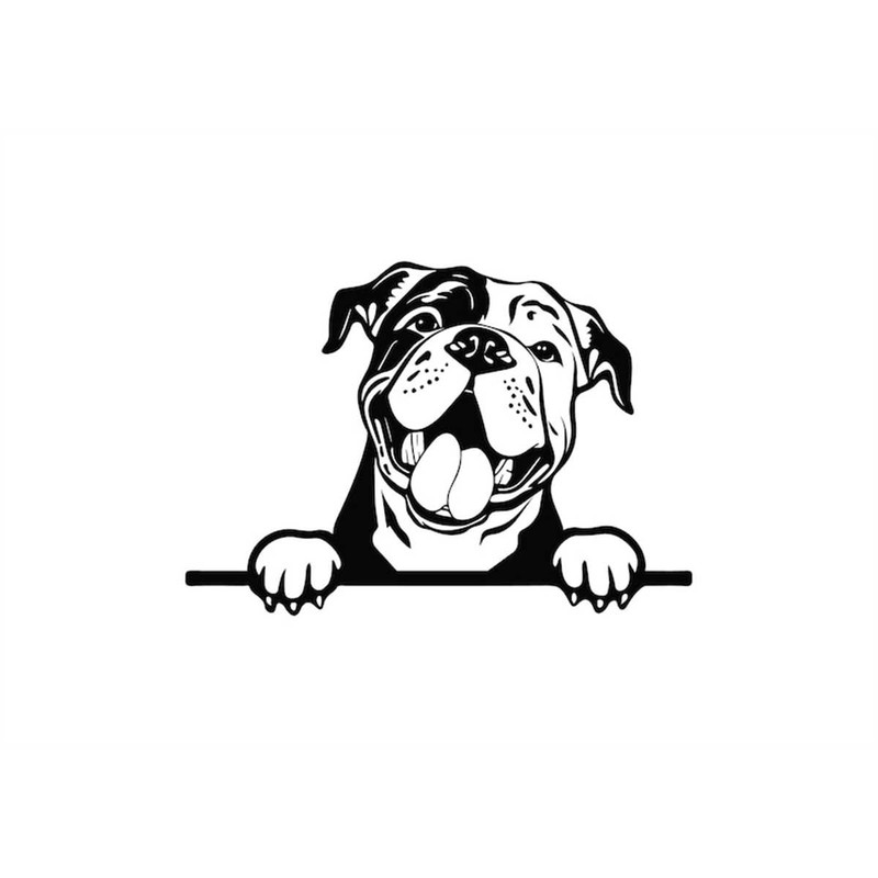 MR-1582023235913-peeking-continental-bulldog-svg-peeking-continental-bulldog-image-1.jpg