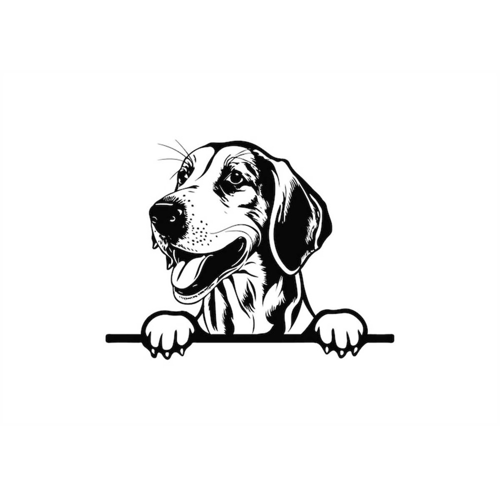 MR-168202301557-peeking-foxhound-svg-peeking-foxhound-clipart-peeking-image-1.jpg
