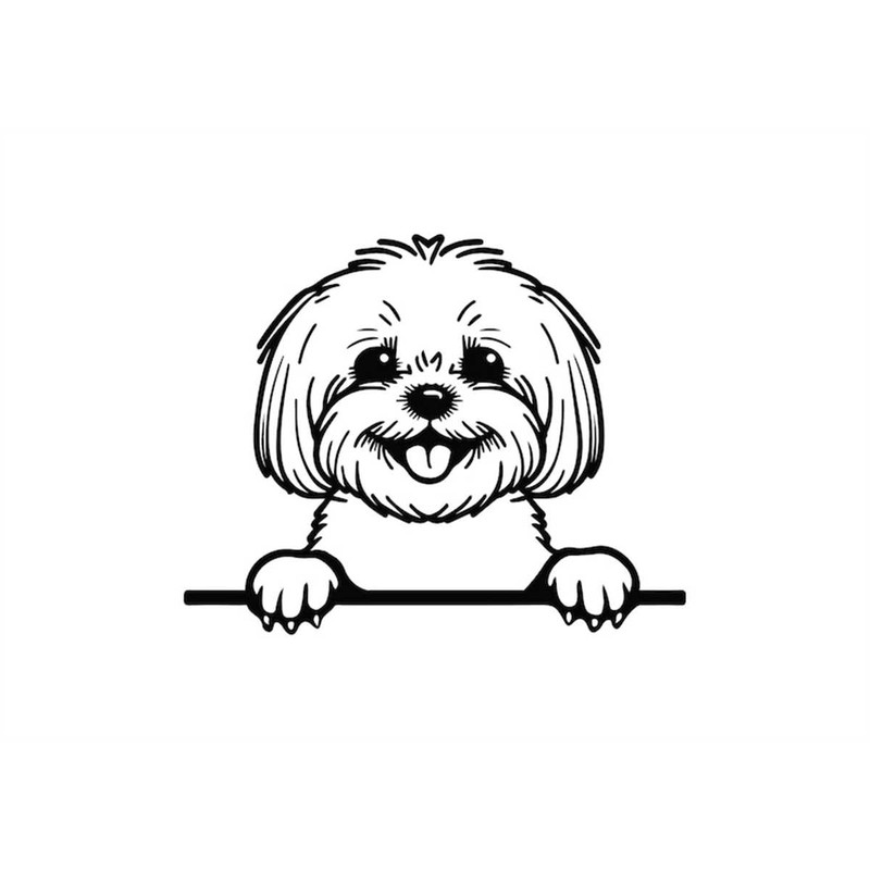 MR-168202302449-peeking-bichon-svg-peeking-bichon-clipart-peeking-bichon-svg-image-1.jpg