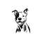 MR-168202302554-amstaff-svg-amstaff-clipart-amstaff-svg-files-for-cricut-image-1.jpg