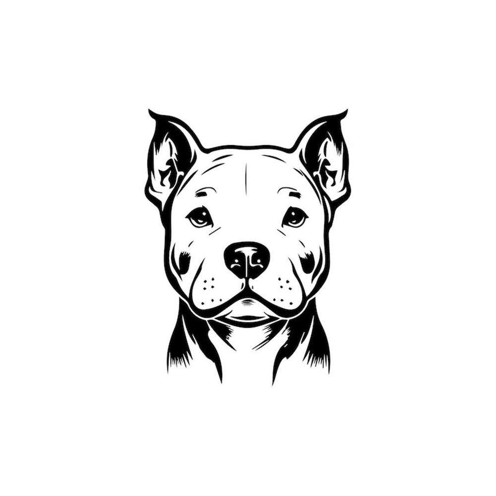 MR-168202303041-pitbull-svg-pitbull-clipart-pitbull-svg-files-for-cricut-image-1.jpg