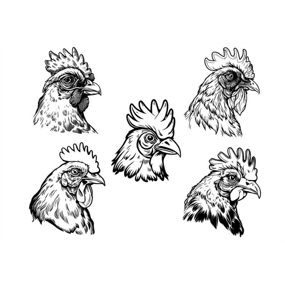 MR-168202312716-chicken-head-svg-chicken-clipart-chicken-head-svg-file-for-image-1.jpg