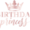 birthday princesss.png