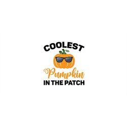 coolest pumpkin in the patch svg, halloween shirt svg, halloween png, funny halloween svg, kids halloween svg, pumpkin s
