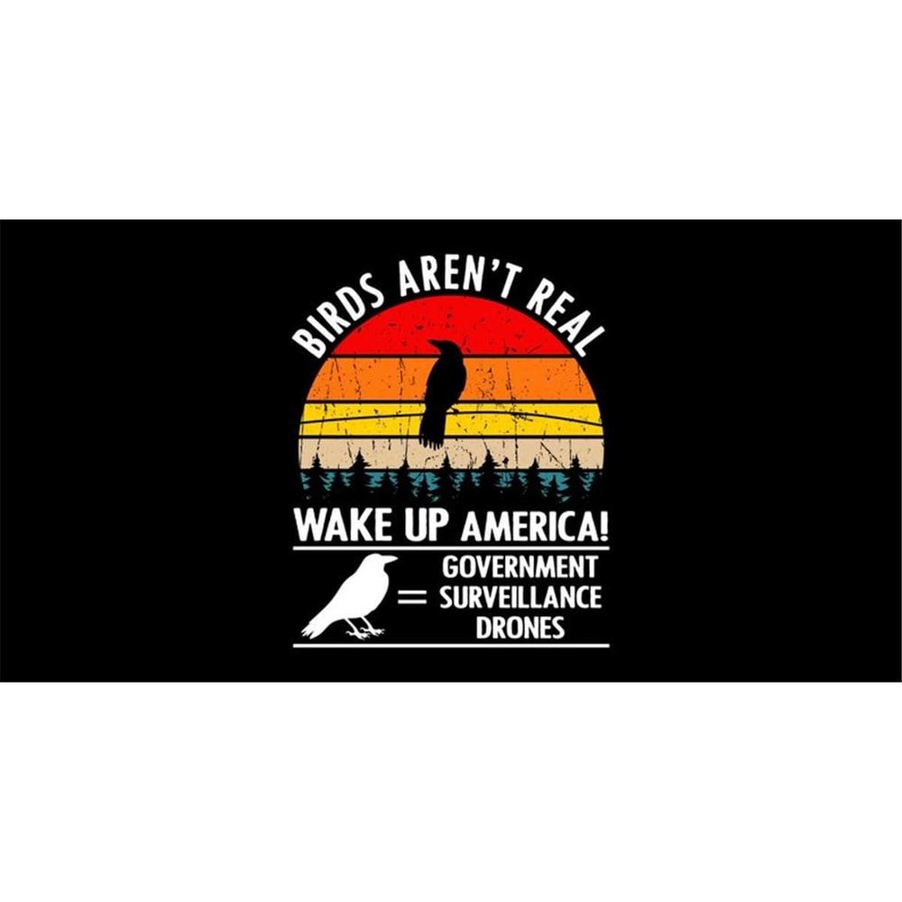 MR-1682023121855-birds-arent-real-wake-up-america-svg-png-birds-are-not-image-1.jpg