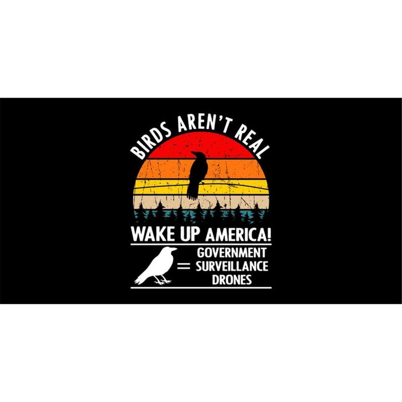 MR-1682023121855-birds-arent-real-wake-up-america-svg-png-birds-are-not-image-1.jpg
