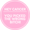 hey cancer you picked the wrong bitch.png